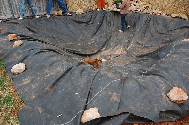 Esther in the pond.jpg